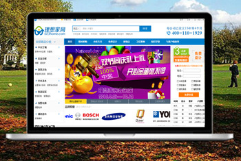 Ӫ�������